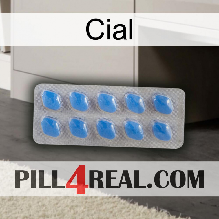Cial 22